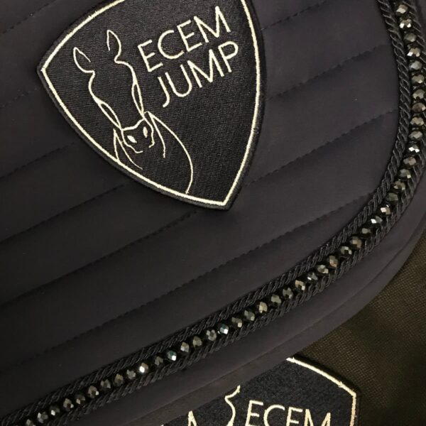 ECEMjump